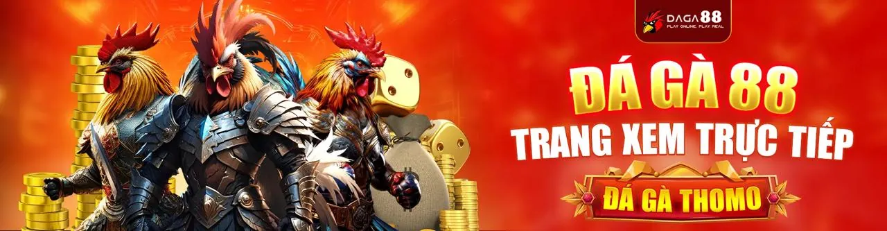 Banner quảng cáo chương trình hoàn trả hàng ngày tại juun88 chính thức